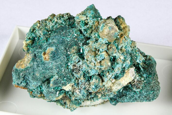 Beautiful Blue-Green Botallackite Crystal Cluster - England #380226